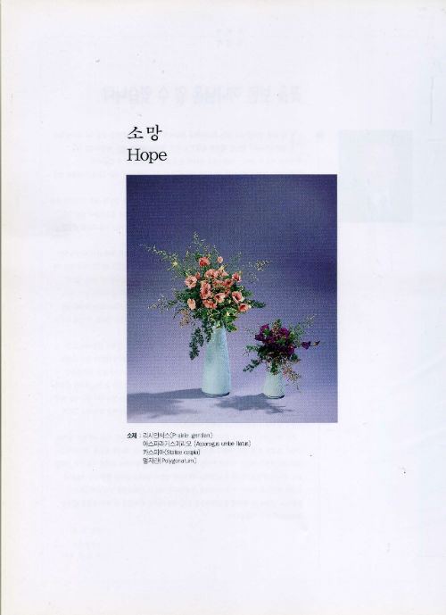 ÀÚ·á008.jpg