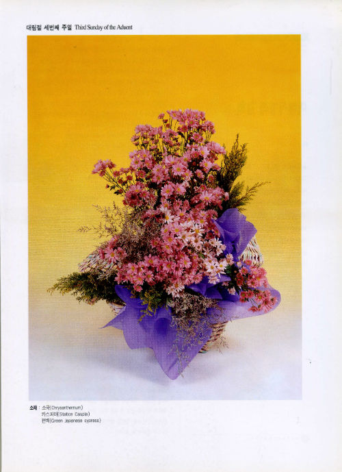 ÀÚ·á017.jpg