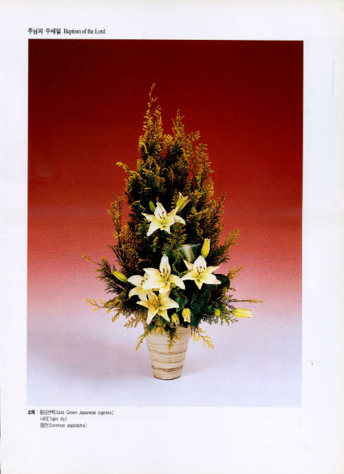 ÀÚ·á029.jpg