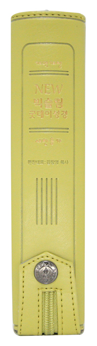 Ӻ 500.jpg