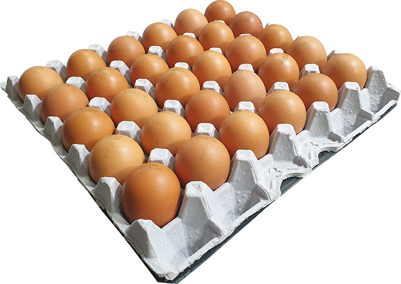 Á¦¸ñ-¾øÀ½-1.jpg