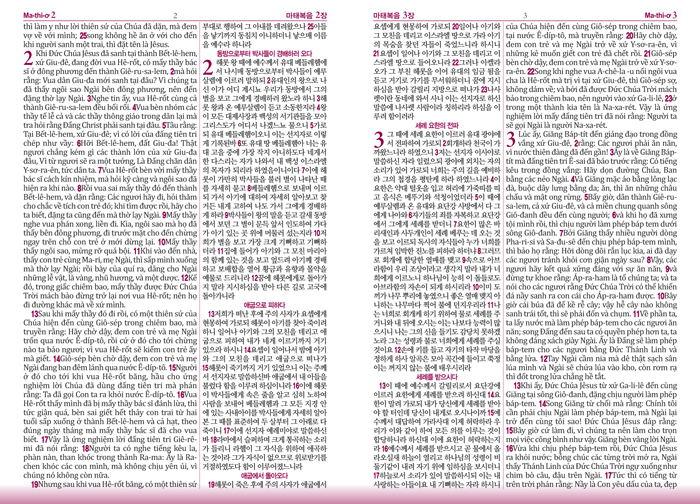 한국어_베트남어성경_sample_13_1.jpg