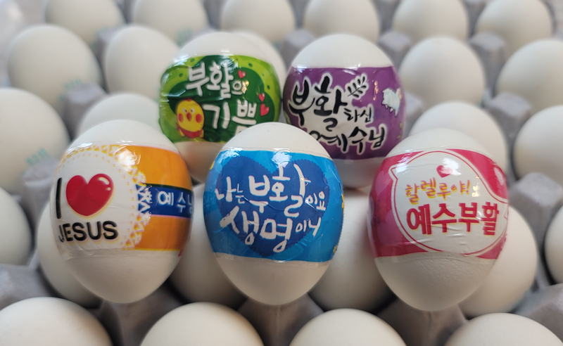 흰달걀_004.jpg