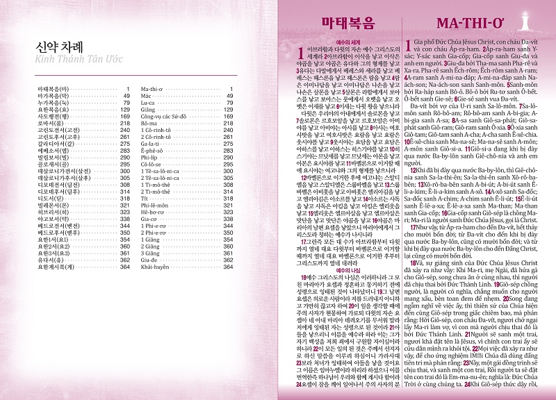7한베대신차마.jpg