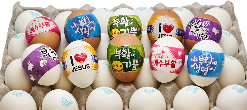 구운 계란 달걀 종합 2.jpg