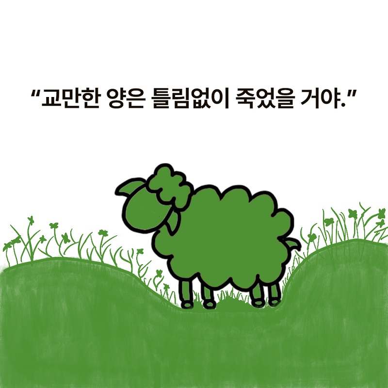 À¯¿ùÀÇ»ù_¾ç ÇÑ ¸¶¸®°¡ »ç¶óÁ³´Ù_Ä«µå·Î º¸´Â Ã¥5.jpg