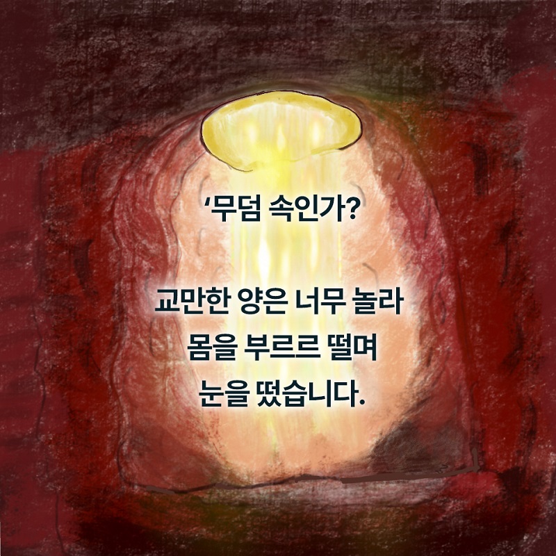 À¯¿ùÀÇ»ù_¾ç ÇÑ ¸¶¸®°¡ »ç¶óÁ³´Ù_Ä«µå·Î º¸´Â Ã¥7.jpg
