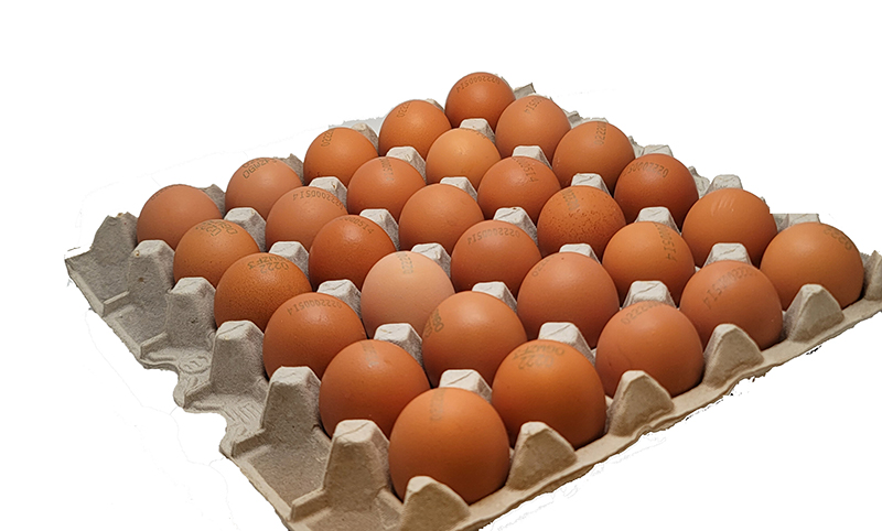°è_9.jpg