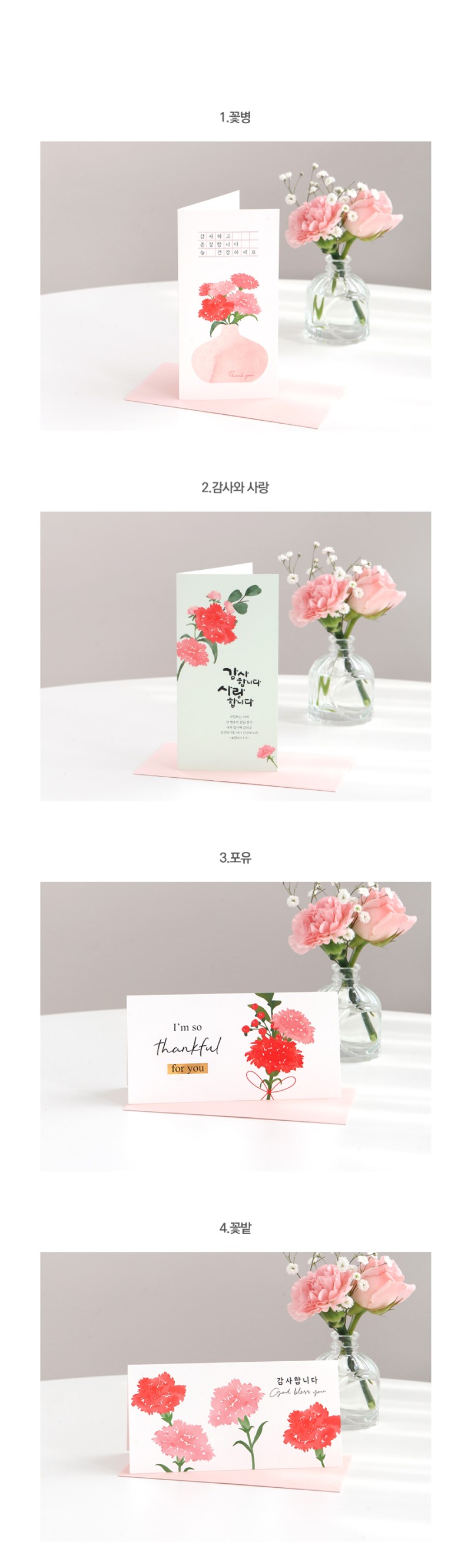 240328_gb_carnations_card_L_02.jpg