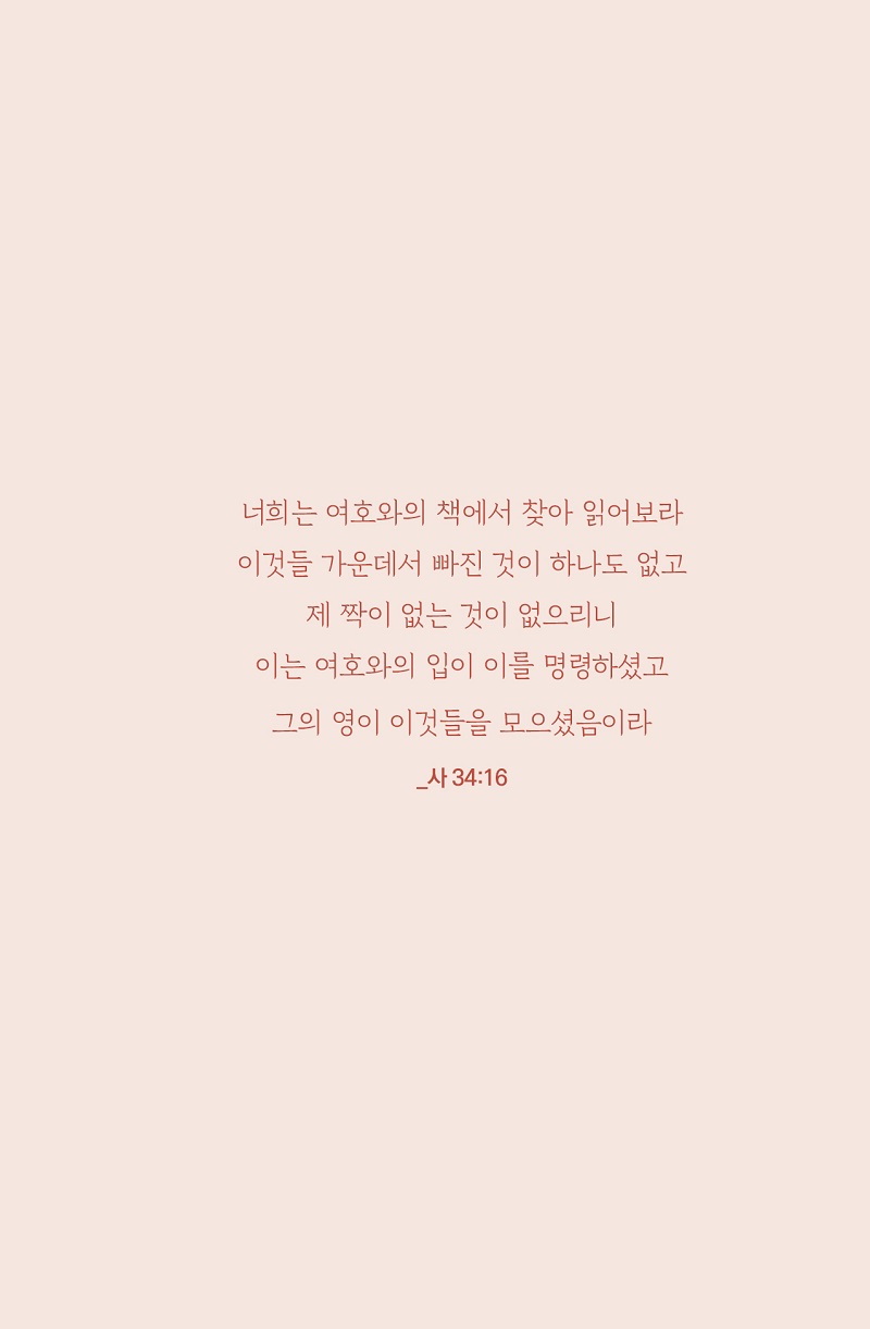 Àд±⵵1_¹Ì¸®º¸±â25.jpg