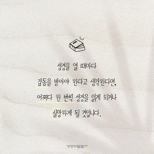 BN.jpg