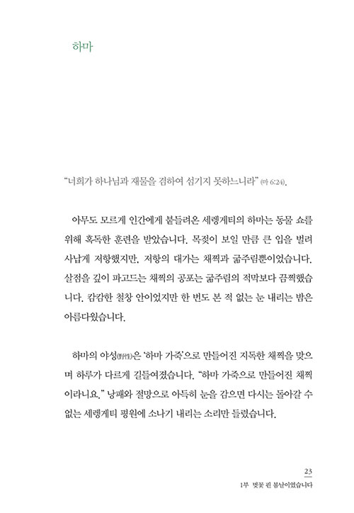 -(20).jpg